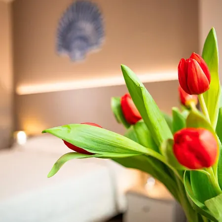 이탈리아 3* 레리치